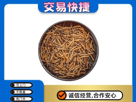 兰州高价回收散虫草